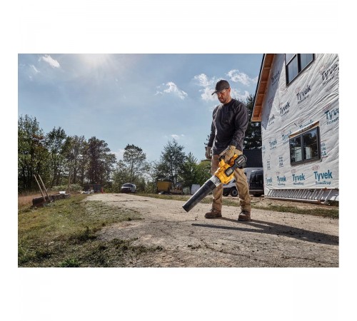 Воздуходувка аккумуляторная DeWalt DCMBA 572 N