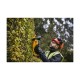 Кусторез аккумуляторный DeWalt DCMHT563N-XJ