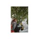 Высоторез аккумуляторный DeWalt DCMPS 567 N