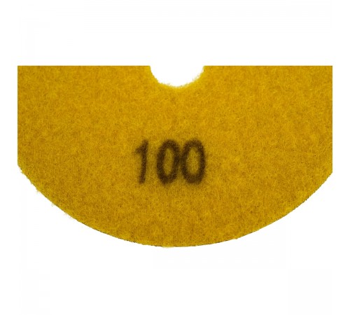 Круг алмазный гибкий шлифовальный DLT #100 №15 100мм 1168