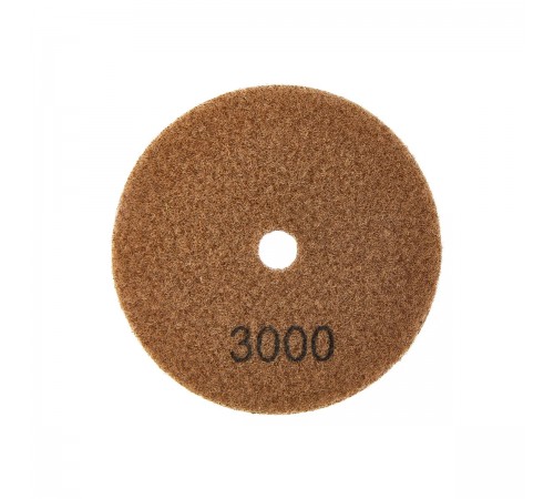 Круг алмазный ELITECH 100мм P3000 сухое шлифование 1820.161000