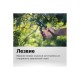 1001530 Секатор Fiskars профессиональный P90