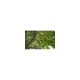 12009-30 Сучкорез Gardena TeleCut 650-900 B