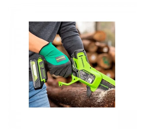 Пила цепная аккумуляторная Greenworks G24MCS10 2008207