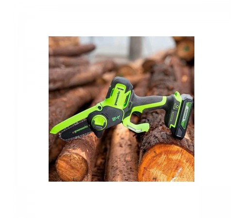 Пила цепная аккумуляторная Greenworks G24MCS10 2008207
