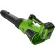 Аккумуляторная воздуходувка GreenWorks GD40BG3 2408207