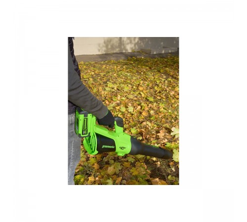 Аккумуляторная воздуходувка GreenWorks GD40BG3 2408207