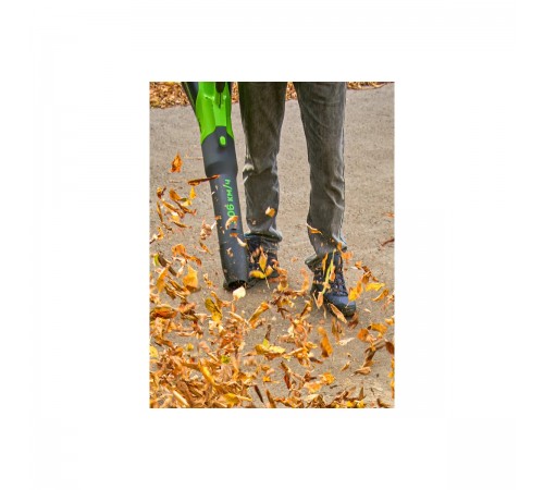 Аккумуляторная воздуходувка GreenWorks GD40BG3 2408207