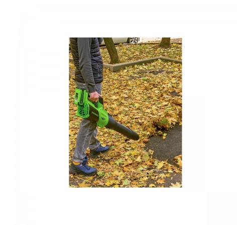 Аккумуляторная воздуходувка GreenWorks GD40BG3 2408207