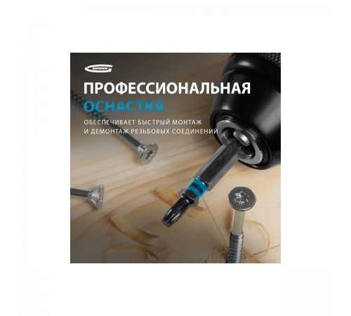 11469 Набор бит Gross TORX 15х50, сталь S2, 10шт.