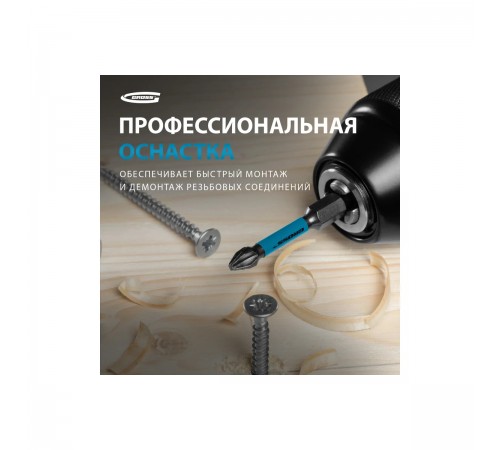 11493 Набор бит торсионных Gross PH2x50мм, для ударных шуруповертов, 10шт