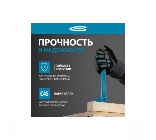 25251  Лом-гвоздодёр, 250х21х9 мм/Gross