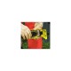 542314 Шина Oregon Powersharp 16 хвостовик А041