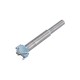 LC1709-19 Сверло форстнера твердосплавное TIDEWAY Premium D=19x10x85 S=8
