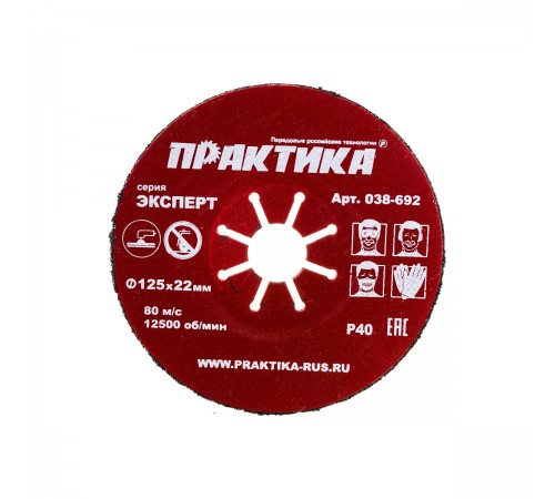 038-692 Круг абразивный торцевой ПРАКТИКА 125х22мм P40