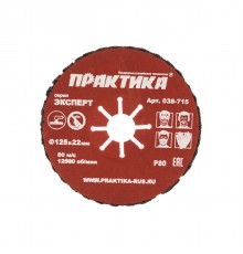 038-715 Круг абразивный торцевой ПРАКТИКА 125х22мм P80
