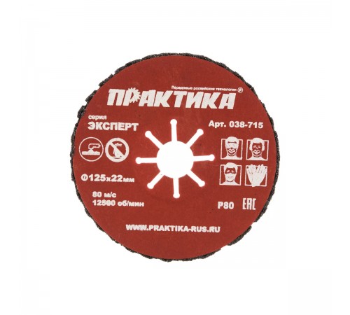038-715 Круг абразивный торцевой ПРАКТИКА 125х22мм P80
