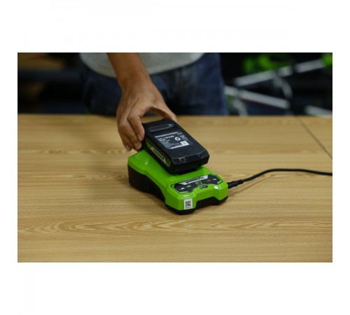 Зарядное устройство Greenworks 24V 2946407