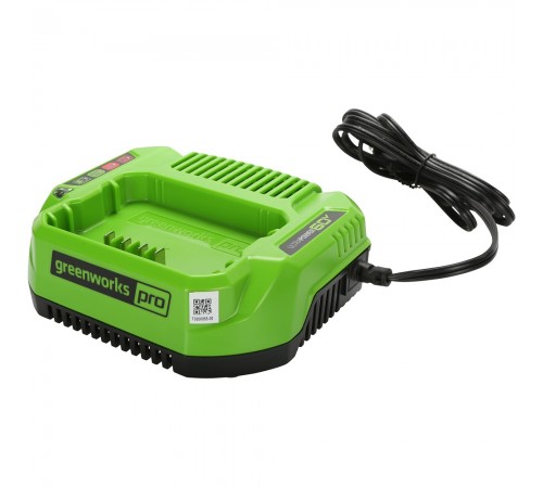 2932007 Зарядное устройство Greenworks G60UC 60V